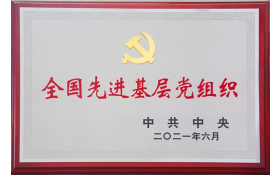 2021年6月大運(yùn)集團(tuán)黨委榮獲“全國(guó)先進(jìn)基層黨組織”榮譽(yù)稱(chēng)號(hào)