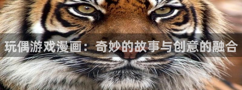 喵趣漫画官网下载入口